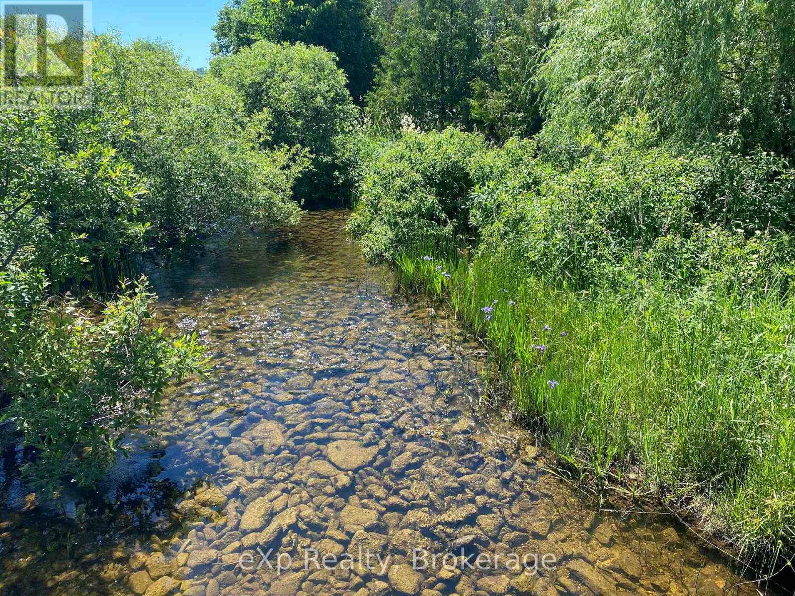 136709 Grey Road 12, Grey Highlands, Ontario  N4L 1W6 - Photo 45 - X12589136