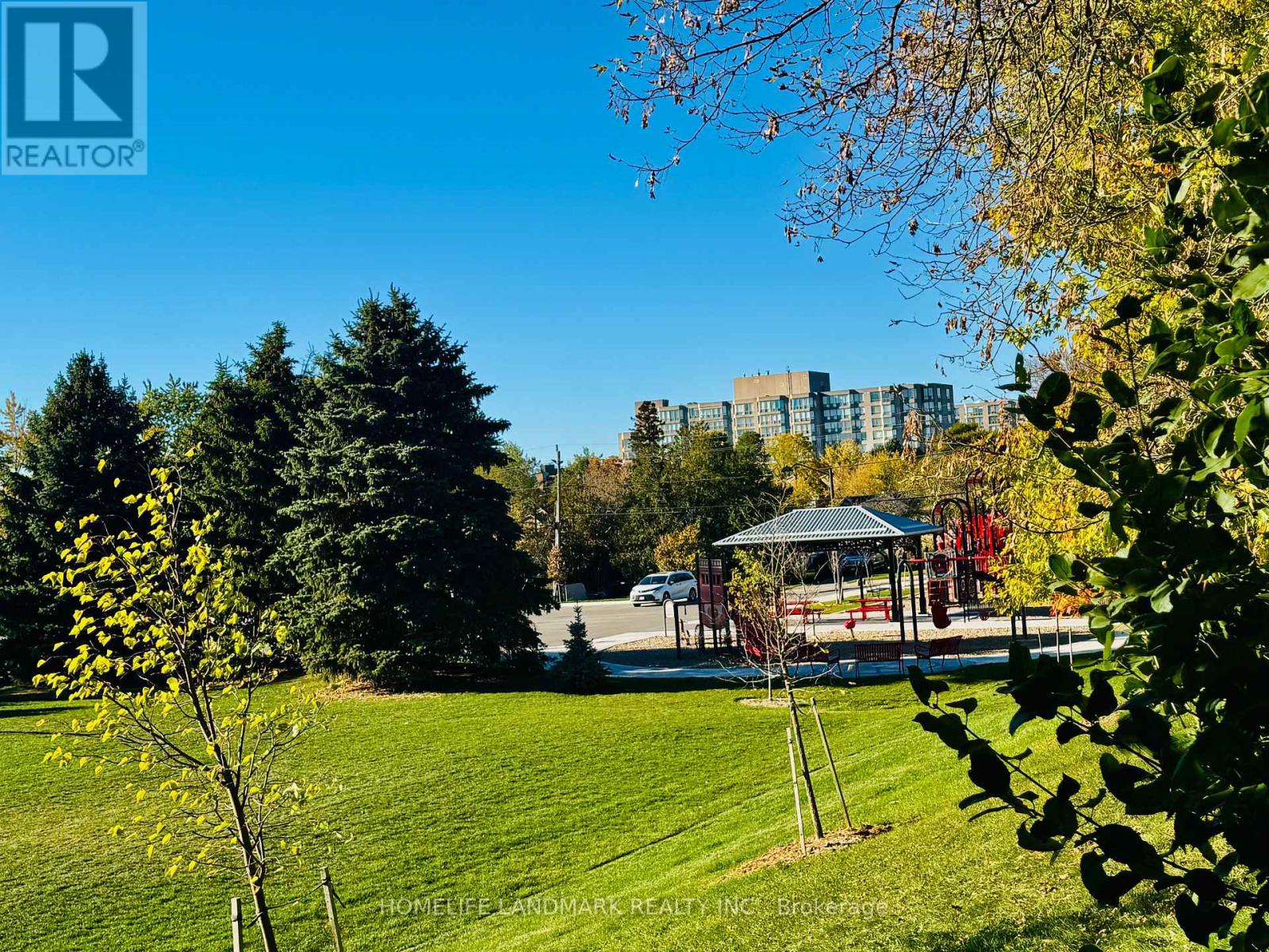 272 Essex (Work Out Basement) Avenue, Richmond Hill, Ontario  L4C 2C2 - Photo 20 - N12326334