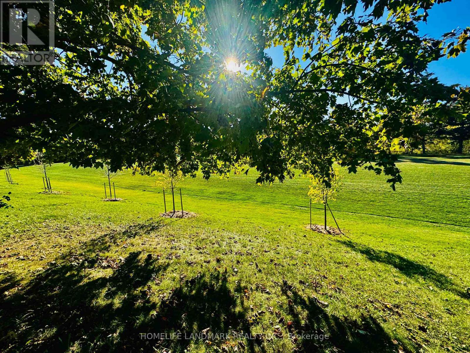 272 Essex (Work Out Basement) Avenue, Richmond Hill, Ontario  L4C 2C2 - Photo 19 - N12326334