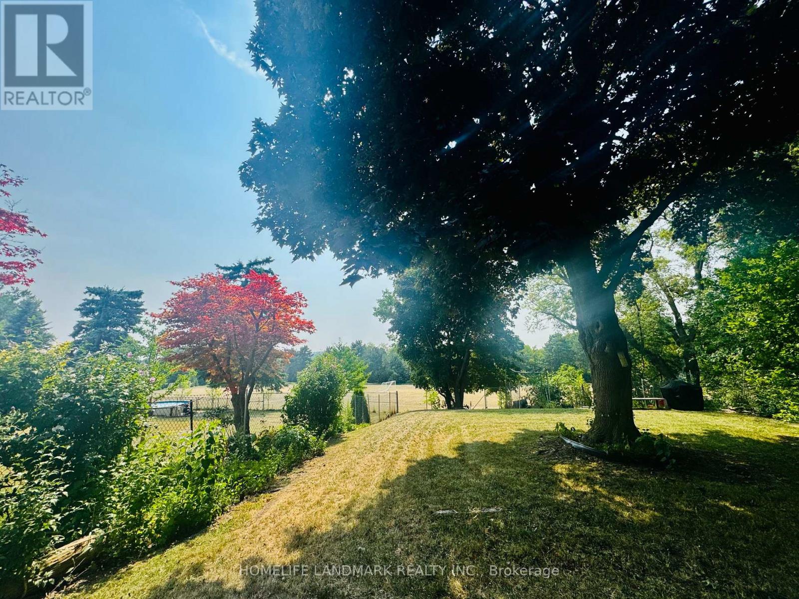 272 Essex (Work Out Basement) Avenue, Richmond Hill, Ontario  L4C 2C2 - Photo 22 - N12326334