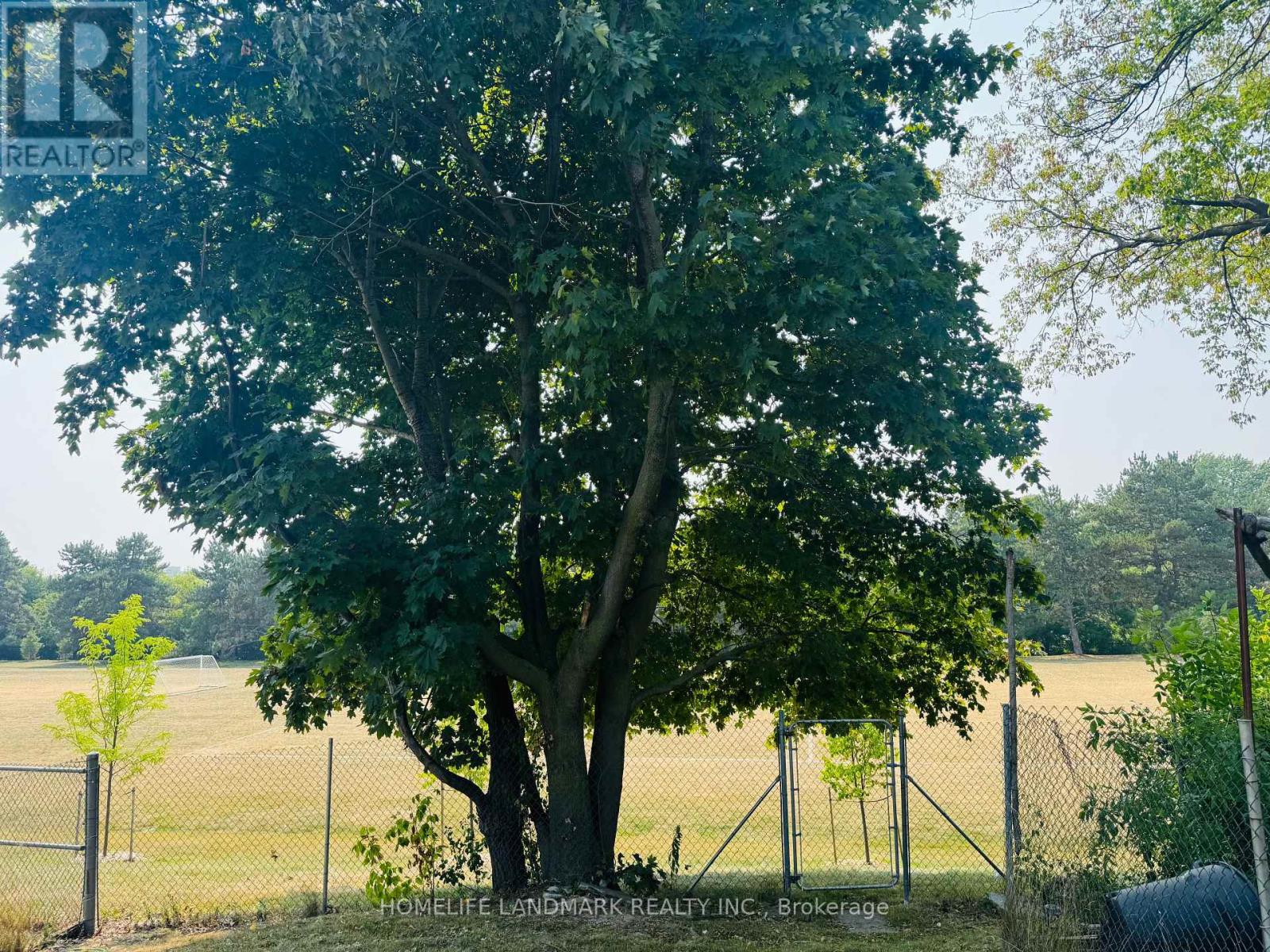 272 Essex (Work Out Basement) Avenue, Richmond Hill, Ontario  L4C 2C2 - Photo 24 - N12326334