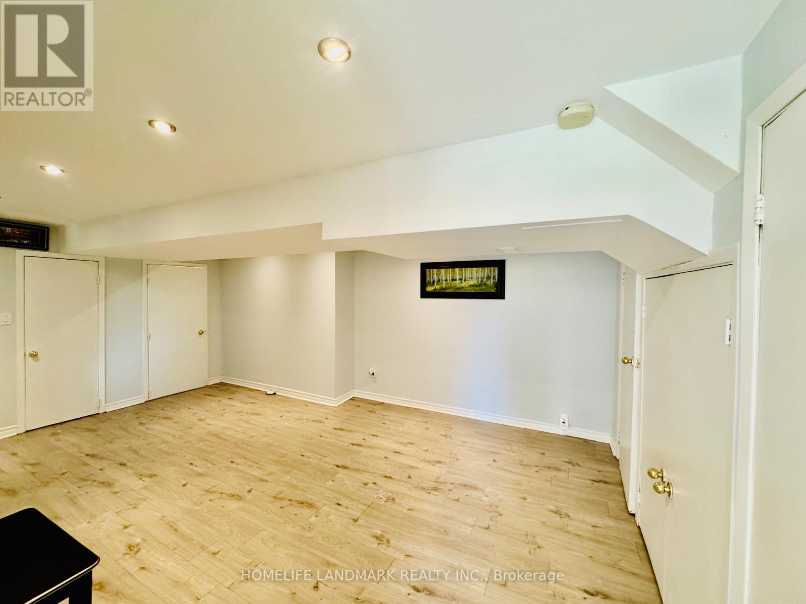 272 Essex (Work Out Basement) Avenue, Richmond Hill, Ontario  L4C 2C2 - Photo 6 - N12326334