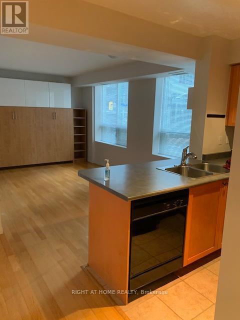 207 - 311 Richmond Street E, Toronto, Ontario  M5A 4S8 - Photo 4 - C12589132