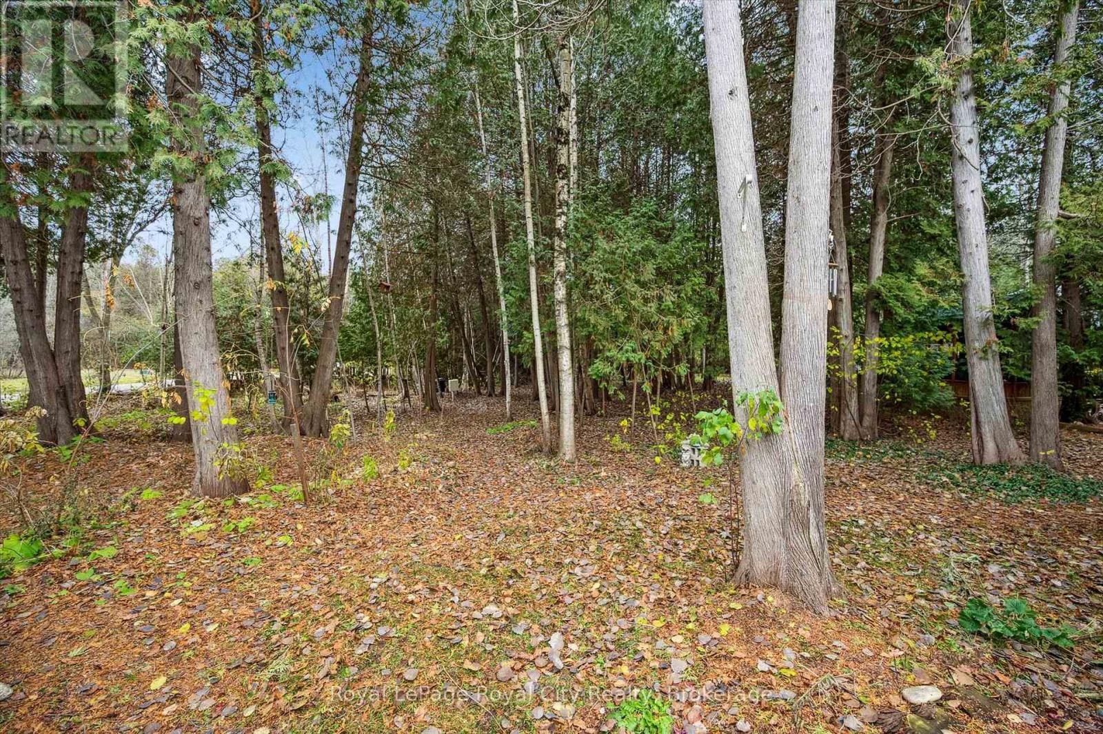 10 Spruce Avenue, Puslinch, Ontario  N1B 2J0 - Photo 25 - X12589208