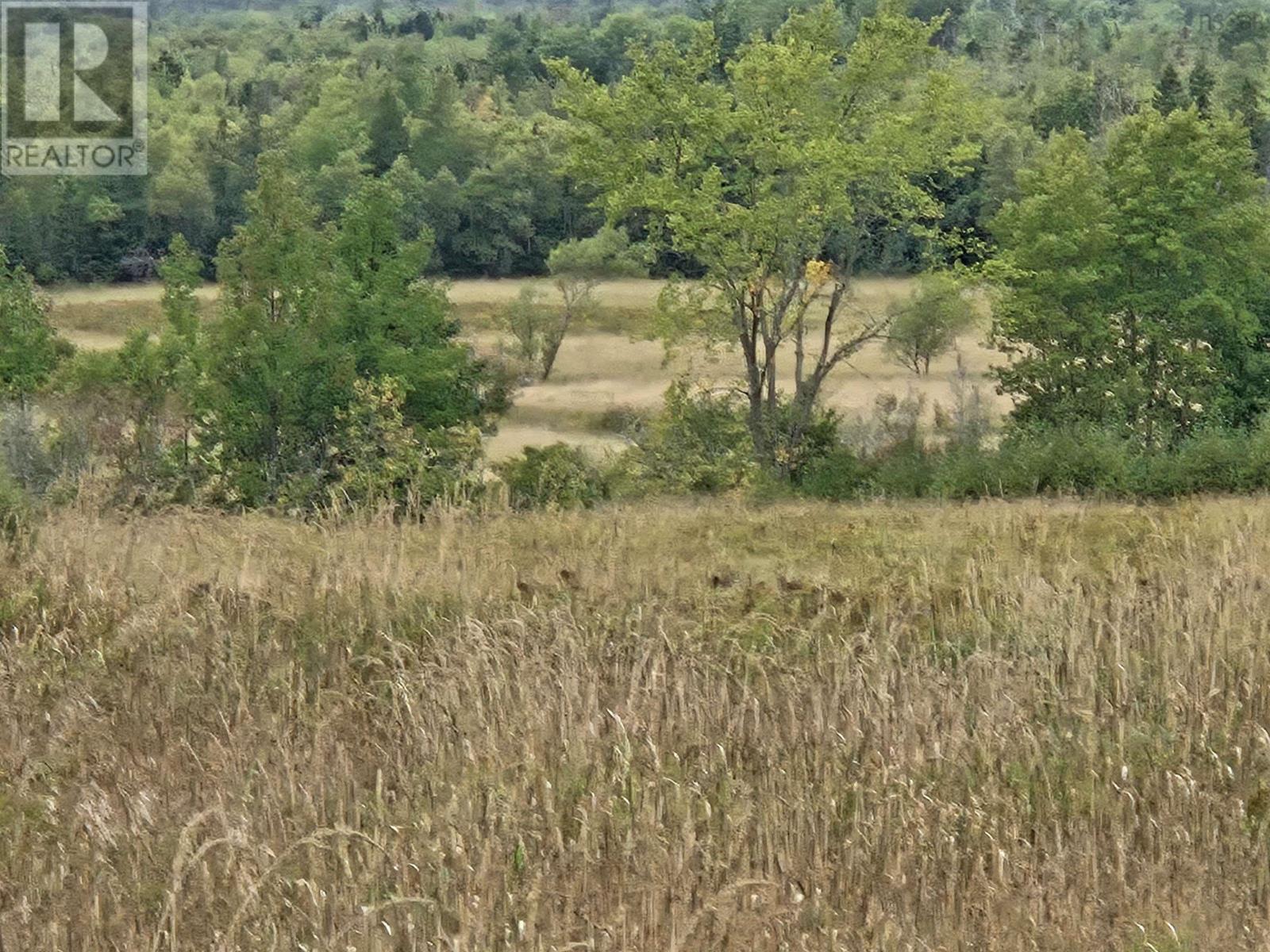 Lots Heathbell Road, Heathbell, Nova Scotia  B0K 1R0 - Photo 3 - 202523863