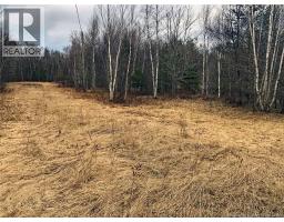 320 Pleasant Drive, minto, New Brunswick