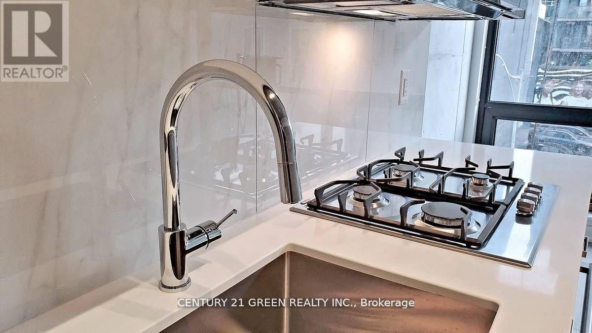 204 - 458 Richmond Street W, Toronto, Ontario  M5V 1V1 - Photo 10 - C12588634