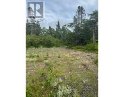 19 Island Pond Road, Spread Eagle, Newfoundland & Labrador