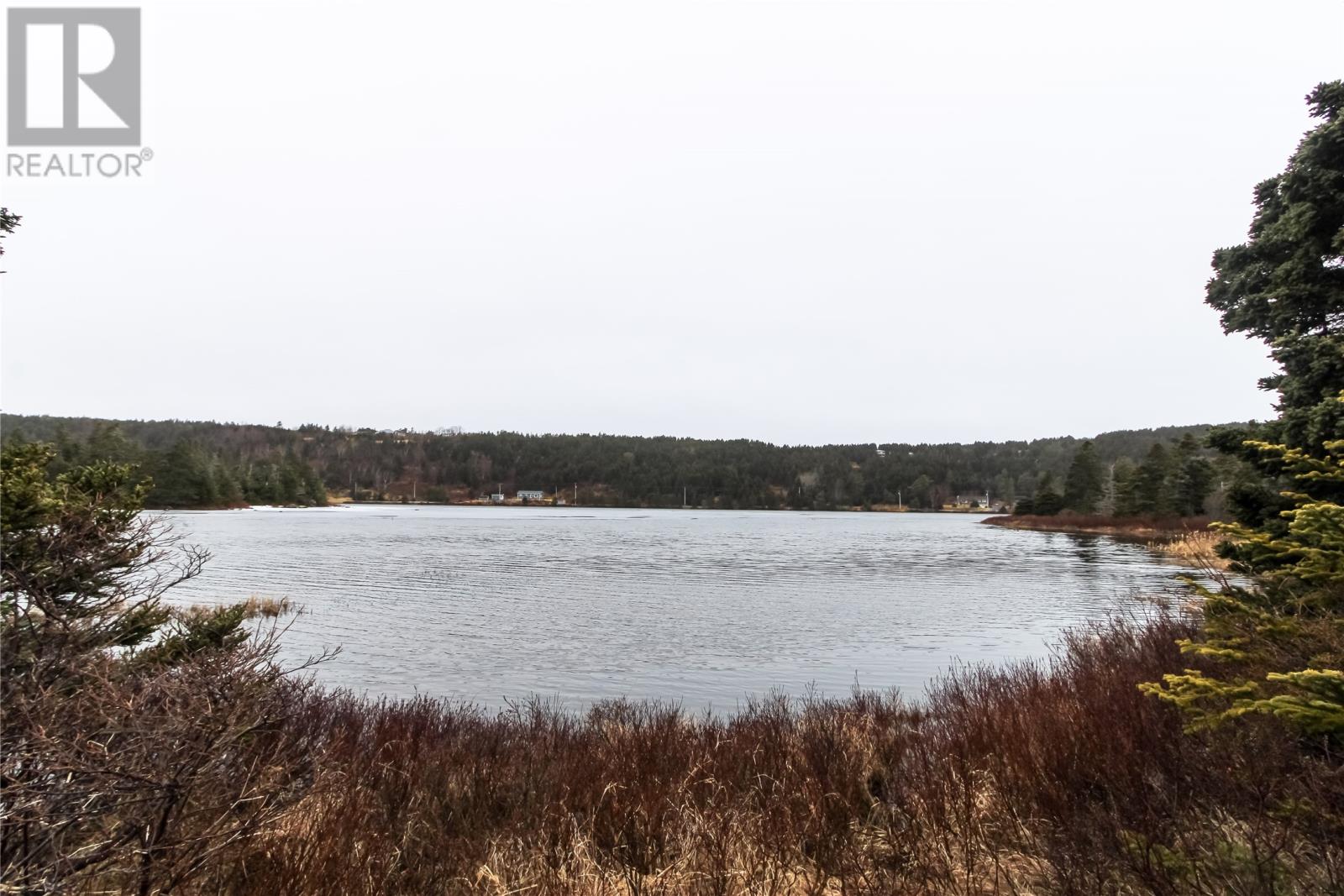 26-28 Ridge Road, Chapels Cove, Newfoundland & Labrador  A1A 1V0 - Photo 50 - 1282500