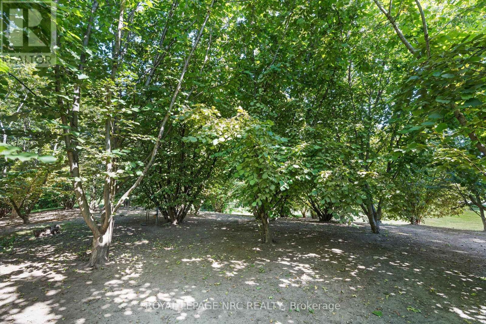 326 Lakeshore Road, Niagara-On-The-Lake, Ontario  L0S 1J0 - Photo 45 - X12589252