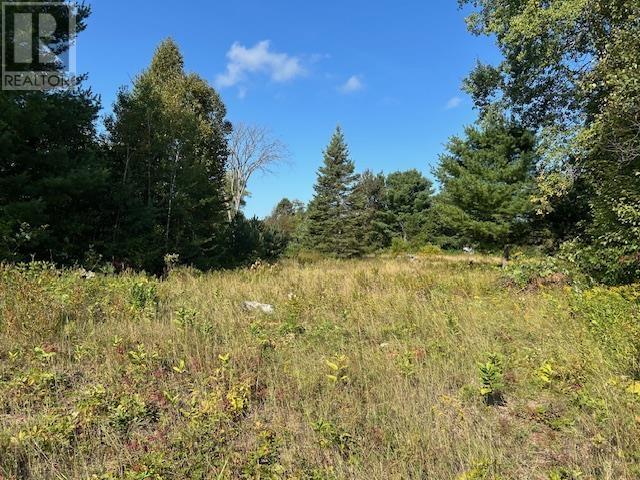 13 Riverview Dr, Iron Bridge, Ontario  P0R 1H0 - Photo 2 - SM252457