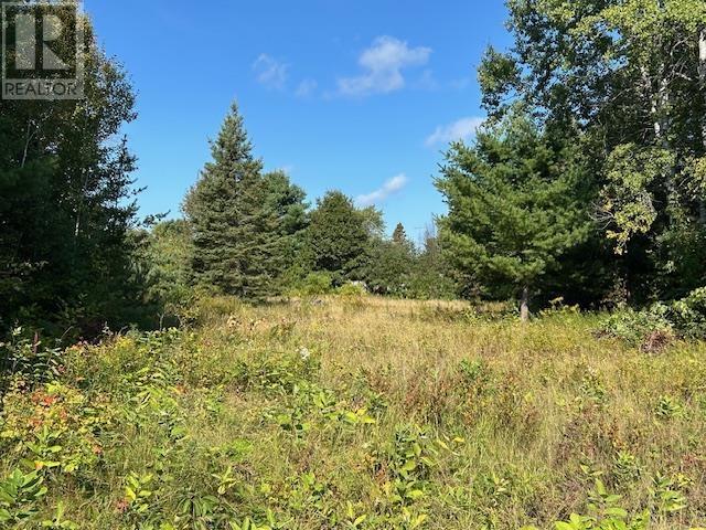 13 Riverview Dr, Iron Bridge, Ontario  P0R 1H0 - Photo 4 - SM252457