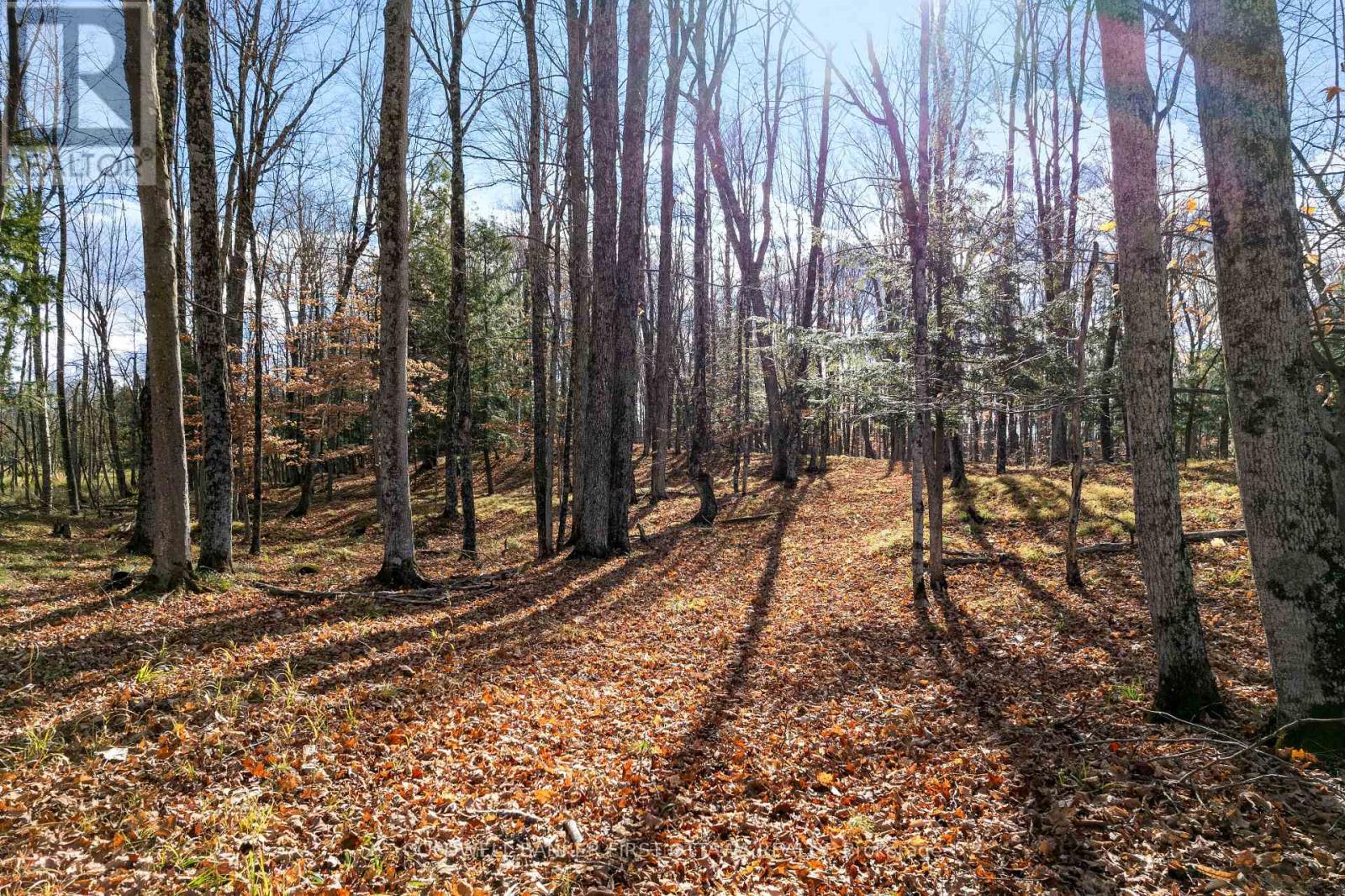 PT 2-00 HERRON MILLS ROAD, Lanark Highlands, Ontario