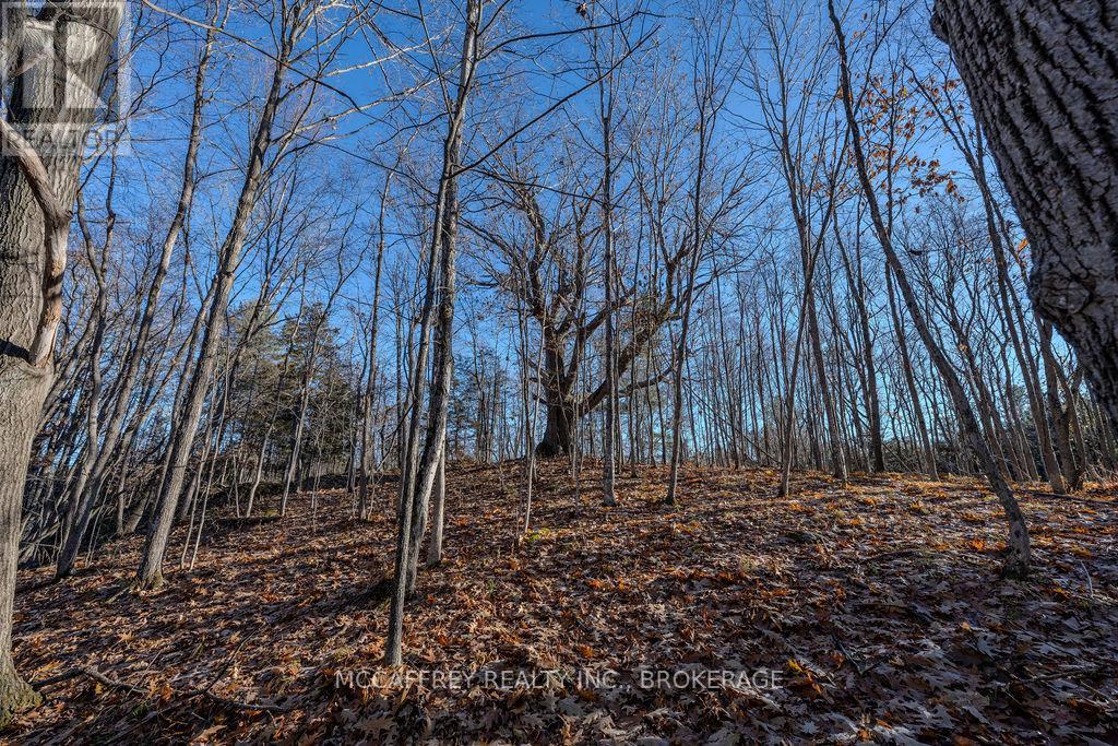 Lot 5 Hinterland Lane, Frontenac, Ontario  K0H 1H0 - Photo 22 - X12585058