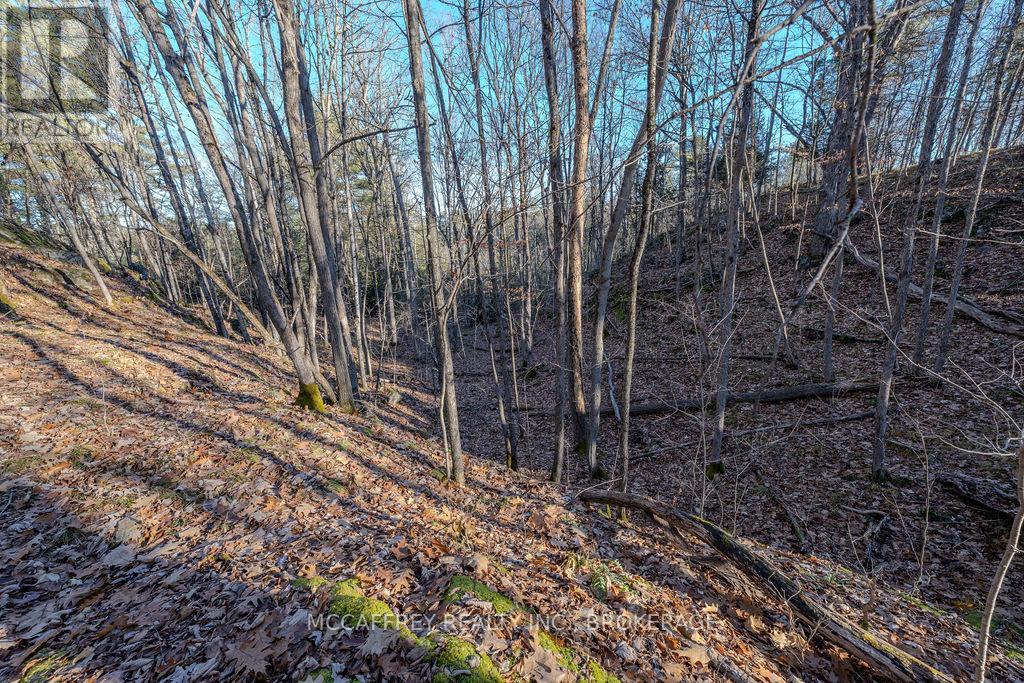 Lot 5 Hinterland Lane, Frontenac, Ontario  K0H 1H0 - Photo 23 - X12585058