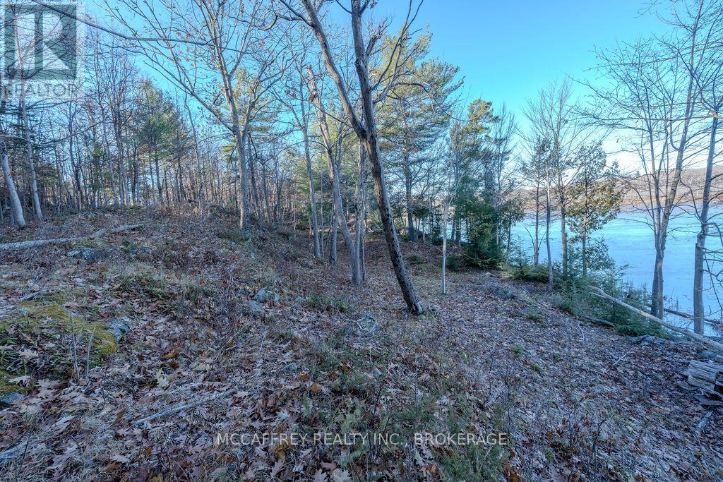 Lot 5 Hinterland Lane, Frontenac, Ontario  K0H 1H0 - Photo 27 - X12585058