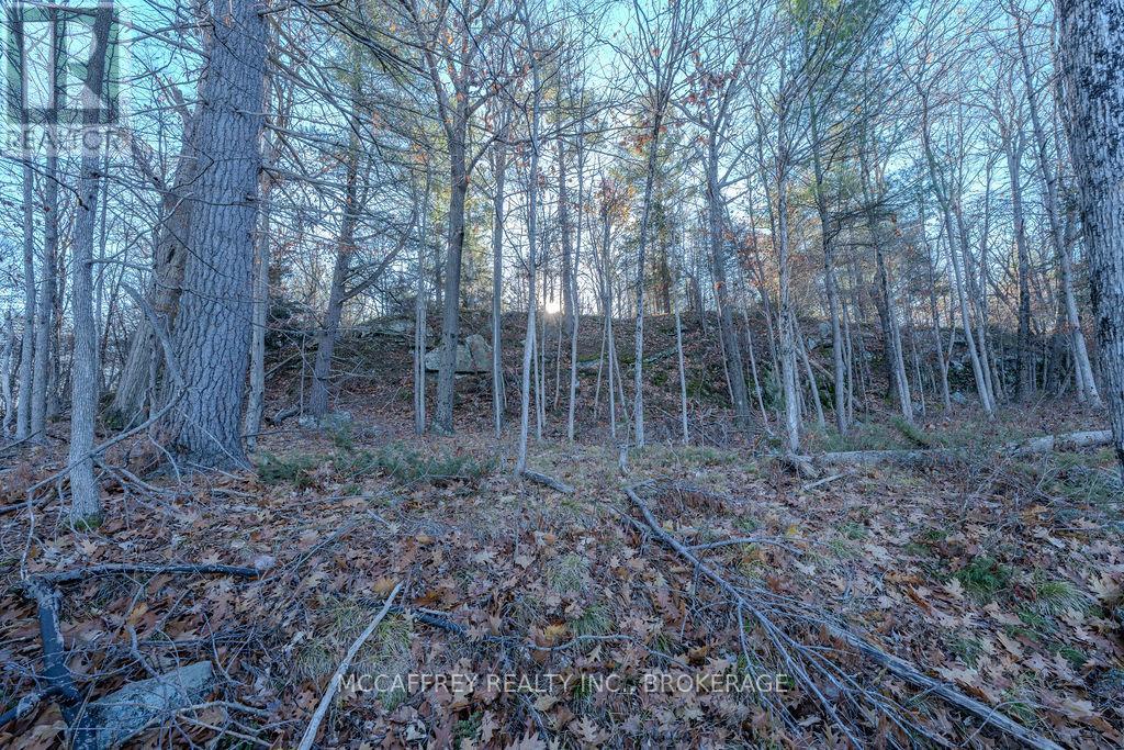 Lot 5 Hinterland Lane, Frontenac, Ontario  K0H 1H0 - Photo 26 - X12585058