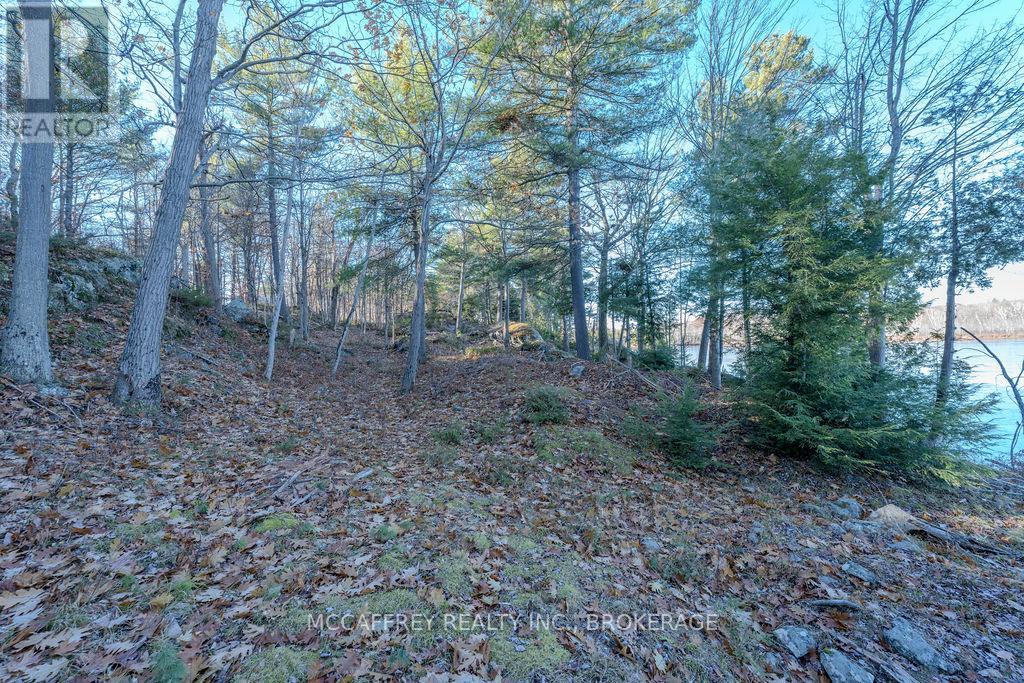 Lot 5 Hinterland Lane, Frontenac, Ontario  K0H 1H0 - Photo 29 - X12585058