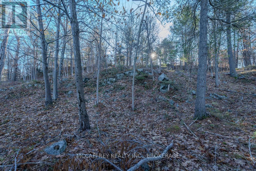 Lot 5 Hinterland Lane, Frontenac, Ontario  K0H 1H0 - Photo 35 - X12585058