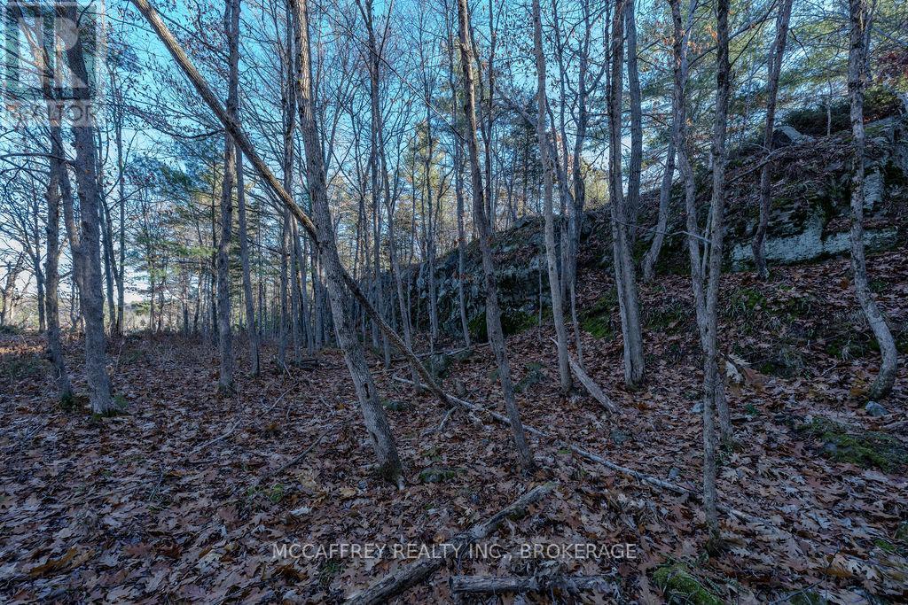 Lot 5 Hinterland Lane, Frontenac, Ontario  K0H 1H0 - Photo 37 - X12585058
