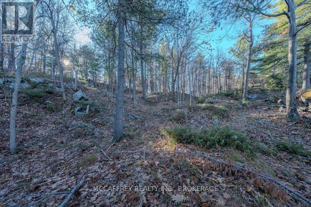 Lot 5 Hinterland Lane, Frontenac, Ontario  K0H 1H0 - Photo 36 - X12585058