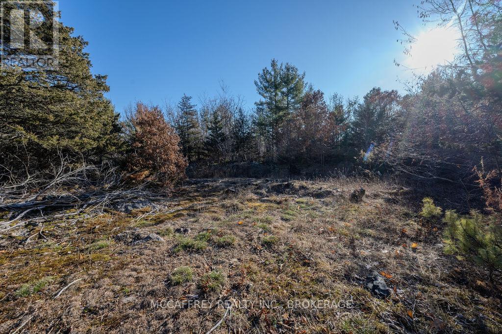 Lot 5 Hinterland Lane, Frontenac, Ontario  K0H 1H0 - Photo 40 - X12585058