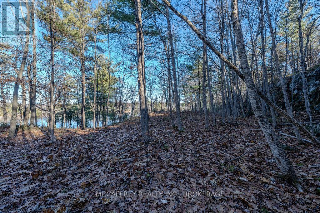 Lot 5 Hinterland Lane, Frontenac, Ontario  K0H 1H0 - Photo 38 - X12585058