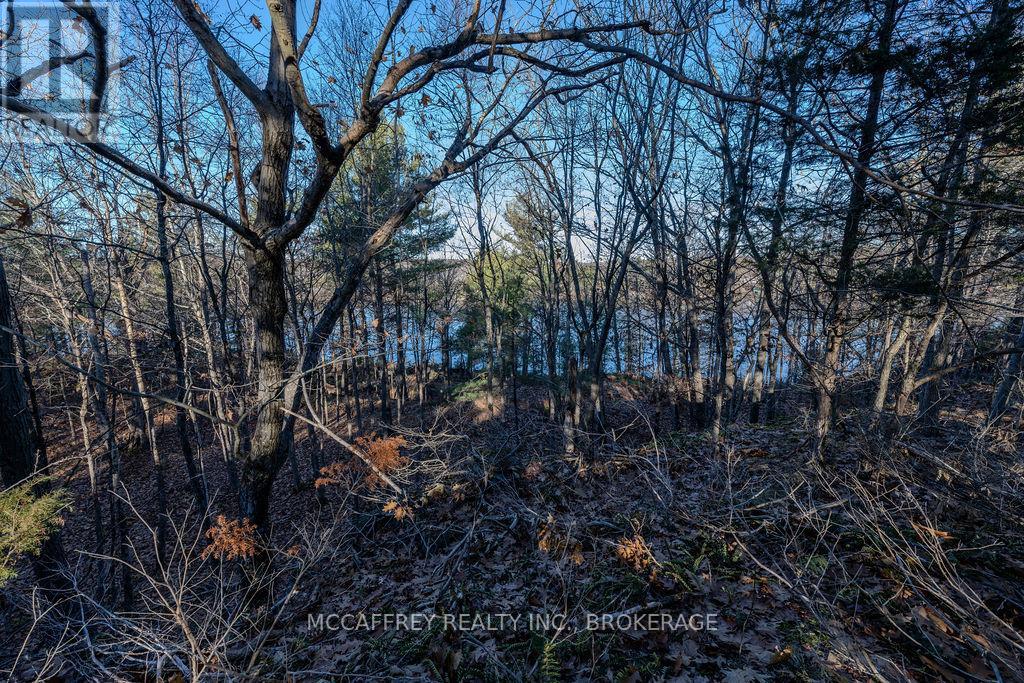 Lot 5 Hinterland Lane, Frontenac, Ontario  K0H 1H0 - Photo 39 - X12585058