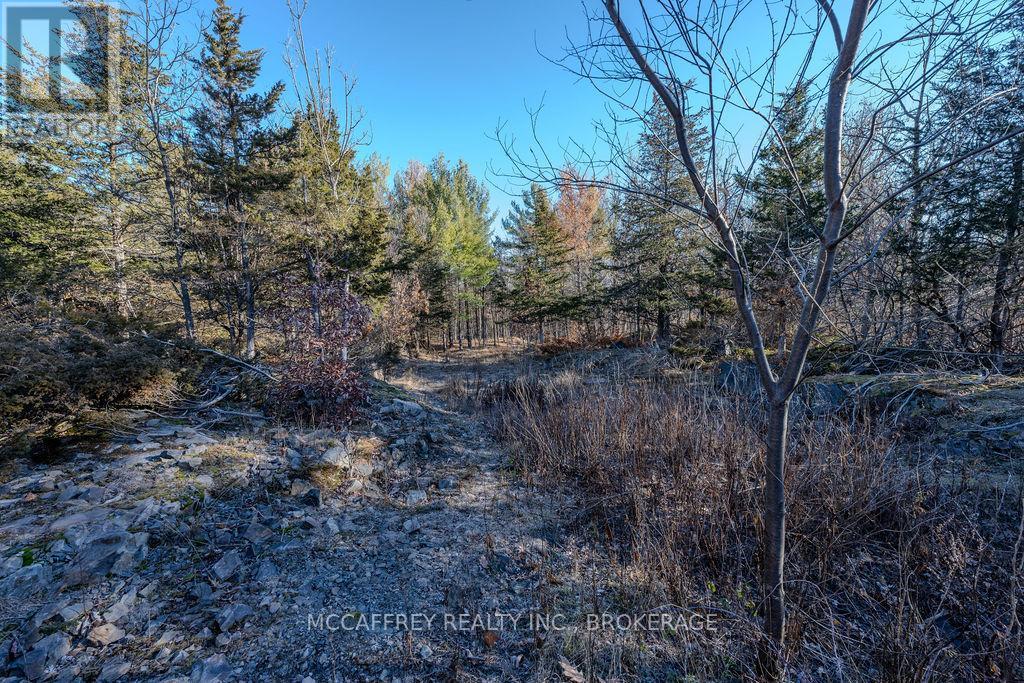 Lot 5 Hinterland Lane, Frontenac, Ontario  K0H 1H0 - Photo 41 - X12585058