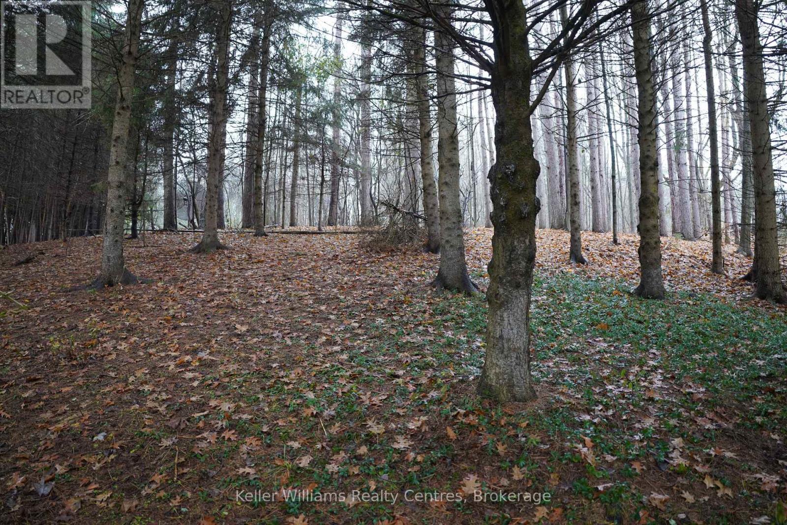 50 Sydenham Road, Grey Highlands, Ontario N0C 1E0 - Photo 43 - X12584794