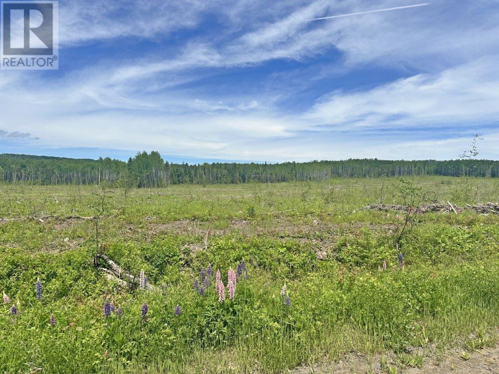 Part 3 Larson Road, Neebing, Ontario  P7L 0A4 - Photo 16 - TB253584