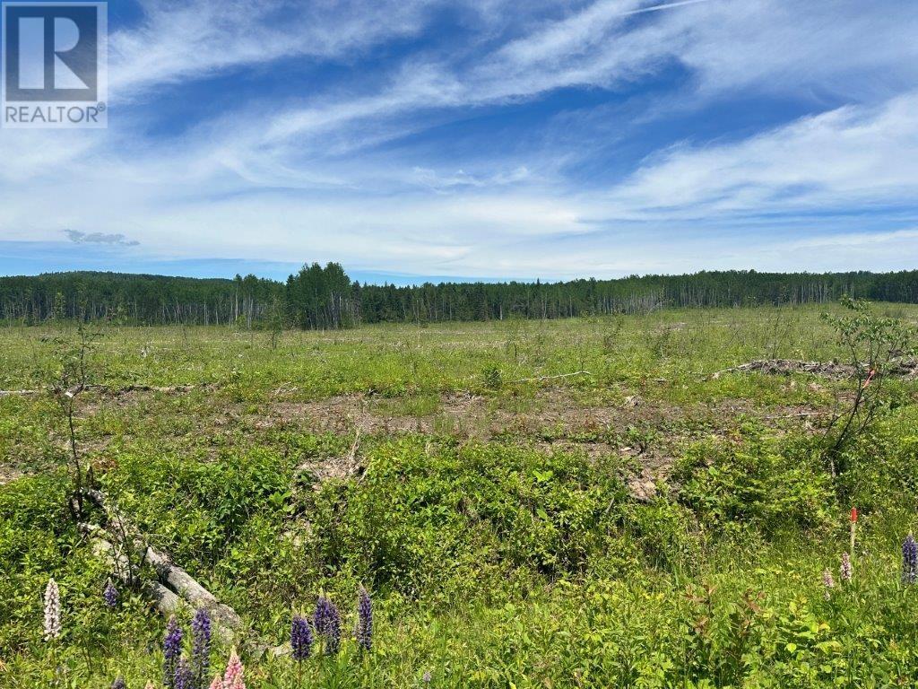 Part 3 Larson Road, Neebing, Ontario  P7L 0A4 - Photo 18 - TB253584