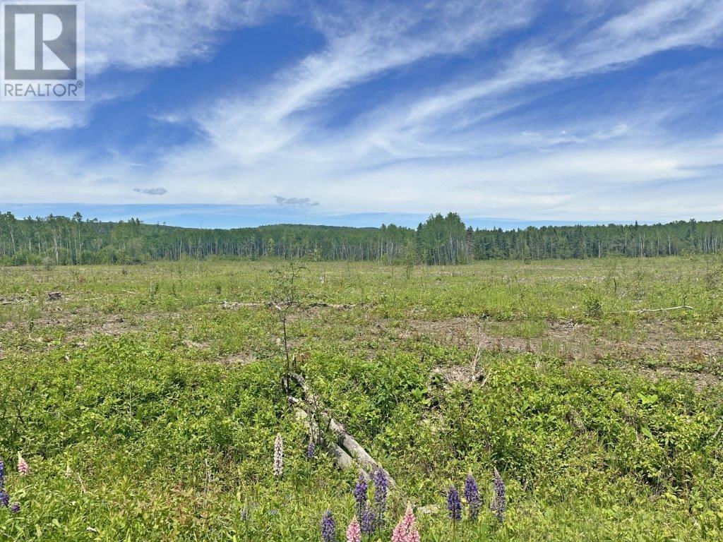 Part 3 Larson Road, Neebing, Ontario  P7L 0A4 - Photo 19 - TB253584
