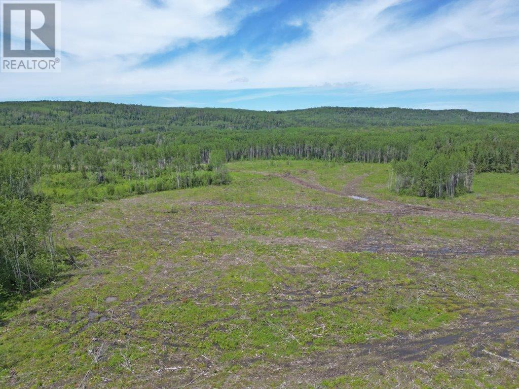 Part 3 Larson Road, Neebing, Ontario  P7L 0A4 - Photo 4 - TB253584