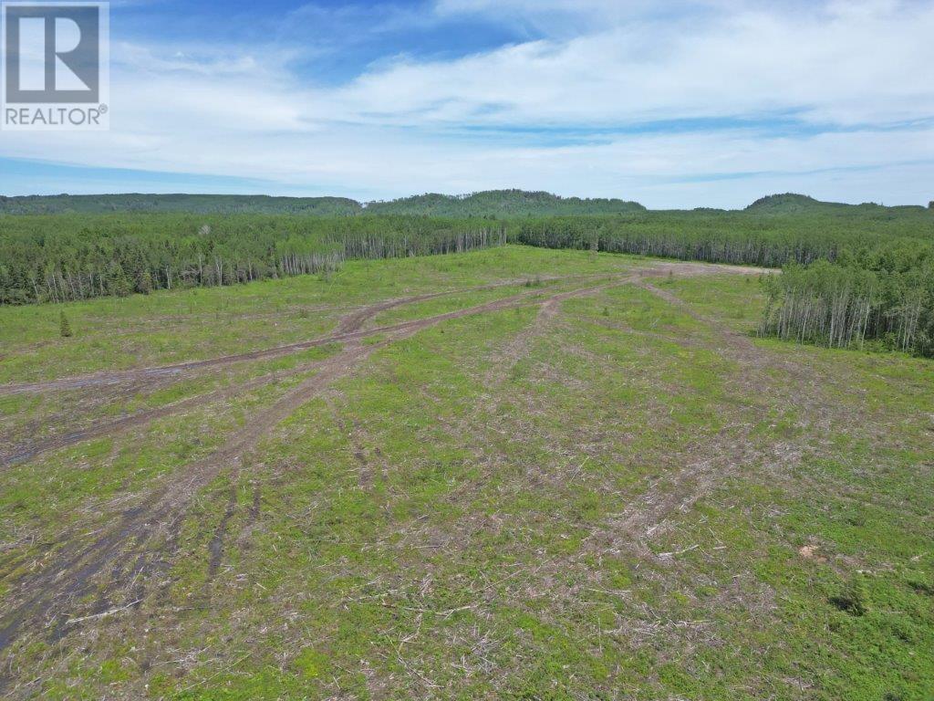 Part 3 Larson Road, Neebing, Ontario  P7L 0A4 - Photo 5 - TB253584