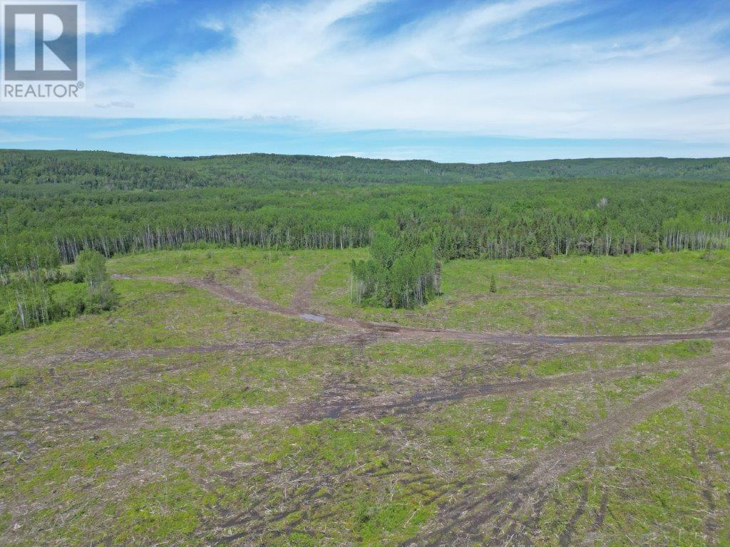 Part 3 Larson Road, Neebing, Ontario  P7L 0A4 - Photo 6 - TB253584