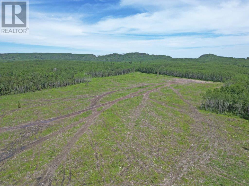 Part 3 Larson Road, Neebing, Ontario  P7L 0A4 - Photo 8 - TB253584