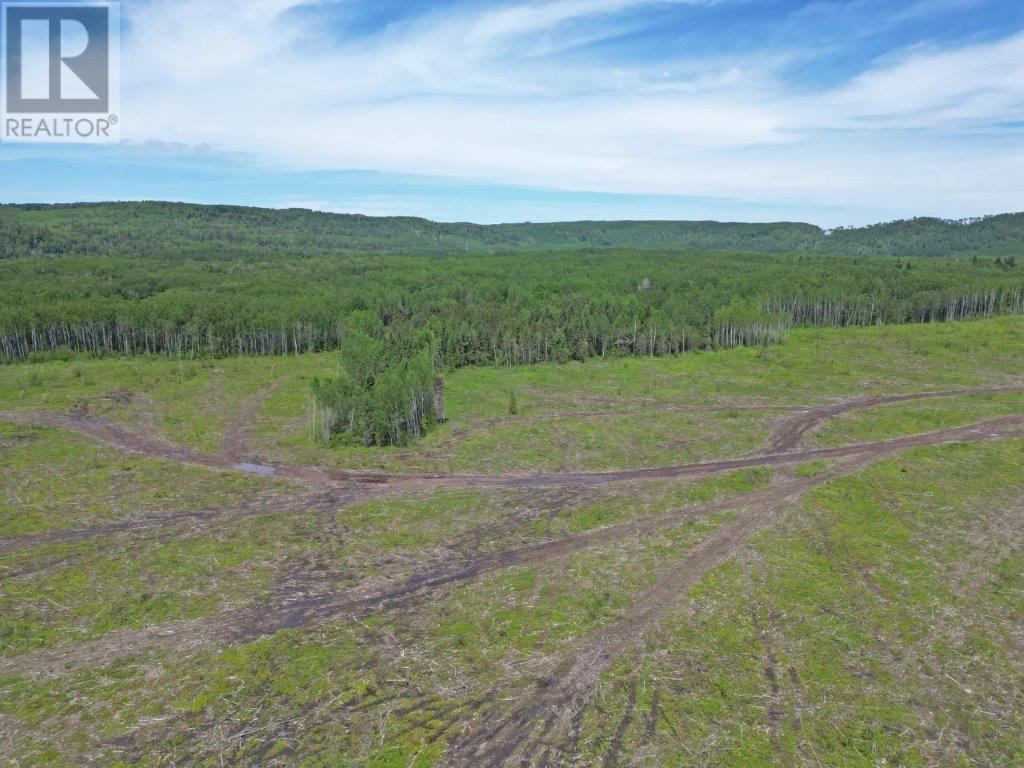 Part 3 Larson Road, Neebing, Ontario  P7L 0A4 - Photo 9 - TB253584