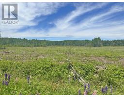 Part 3 Larson Road, Neebing, Ontario