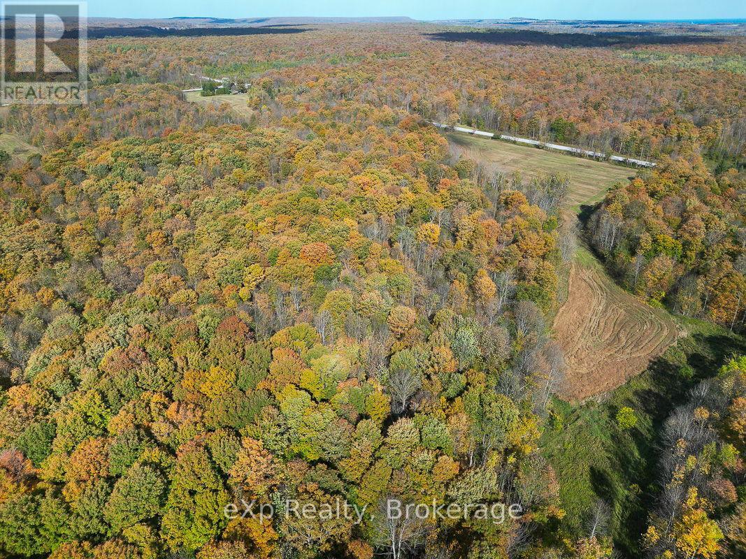 179422 Grey Road 17, Georgian Bluffs, Ontario N0H 2T0 - Photo 29 - X12589490