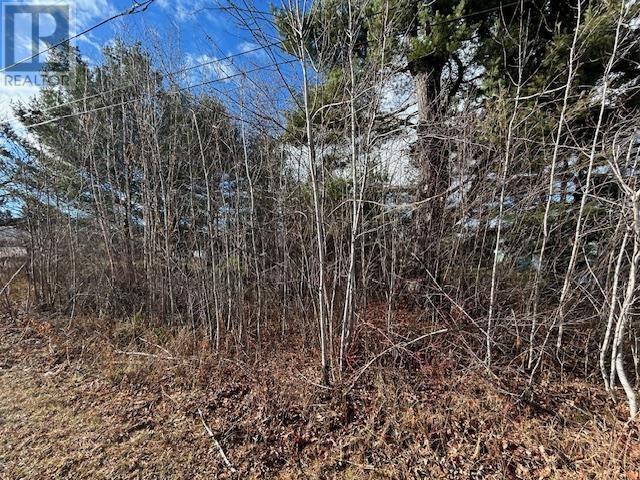 34 Mississagi Cres, Iron Bridge, Ontario P0R 1H0 - Photo 3 - SM253378