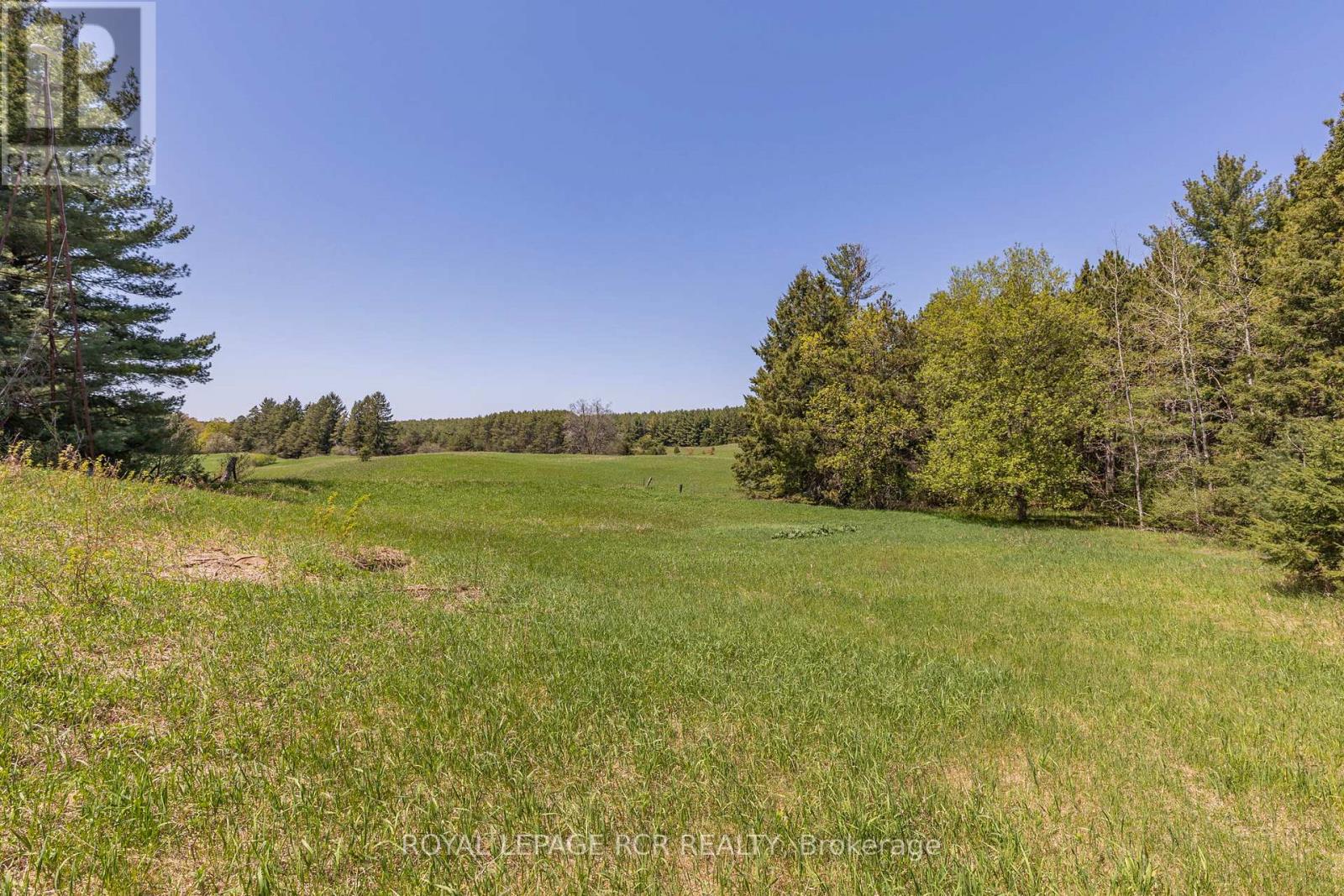 1092 Ballycroy Road, Adjala-Tosorontio, Ontario  L0N 1P0 - Photo 34 - N12530692