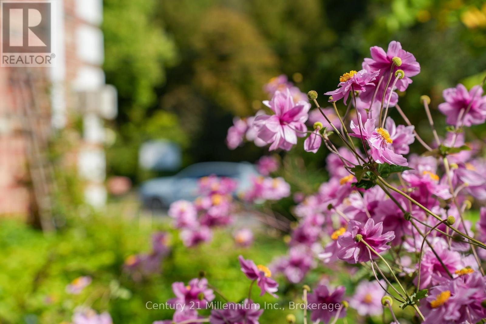 96 Main Street, Northern Bruce Peninsula, Ontario  N0H 1W0 - Photo 43 - X12582786