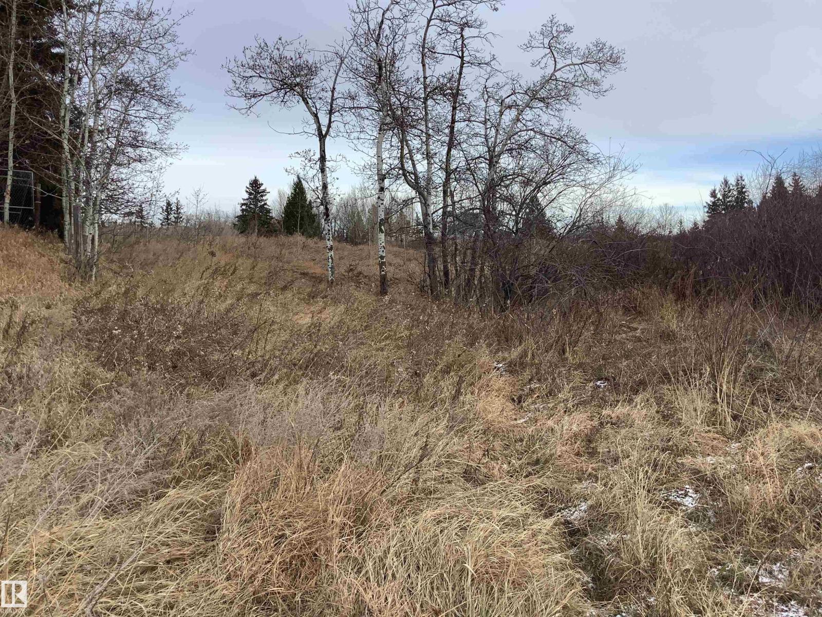 #242 21252 Twp Road 540, Rural Strathcona County, Alberta  T8G 2A1 - Photo 5 - E4467004