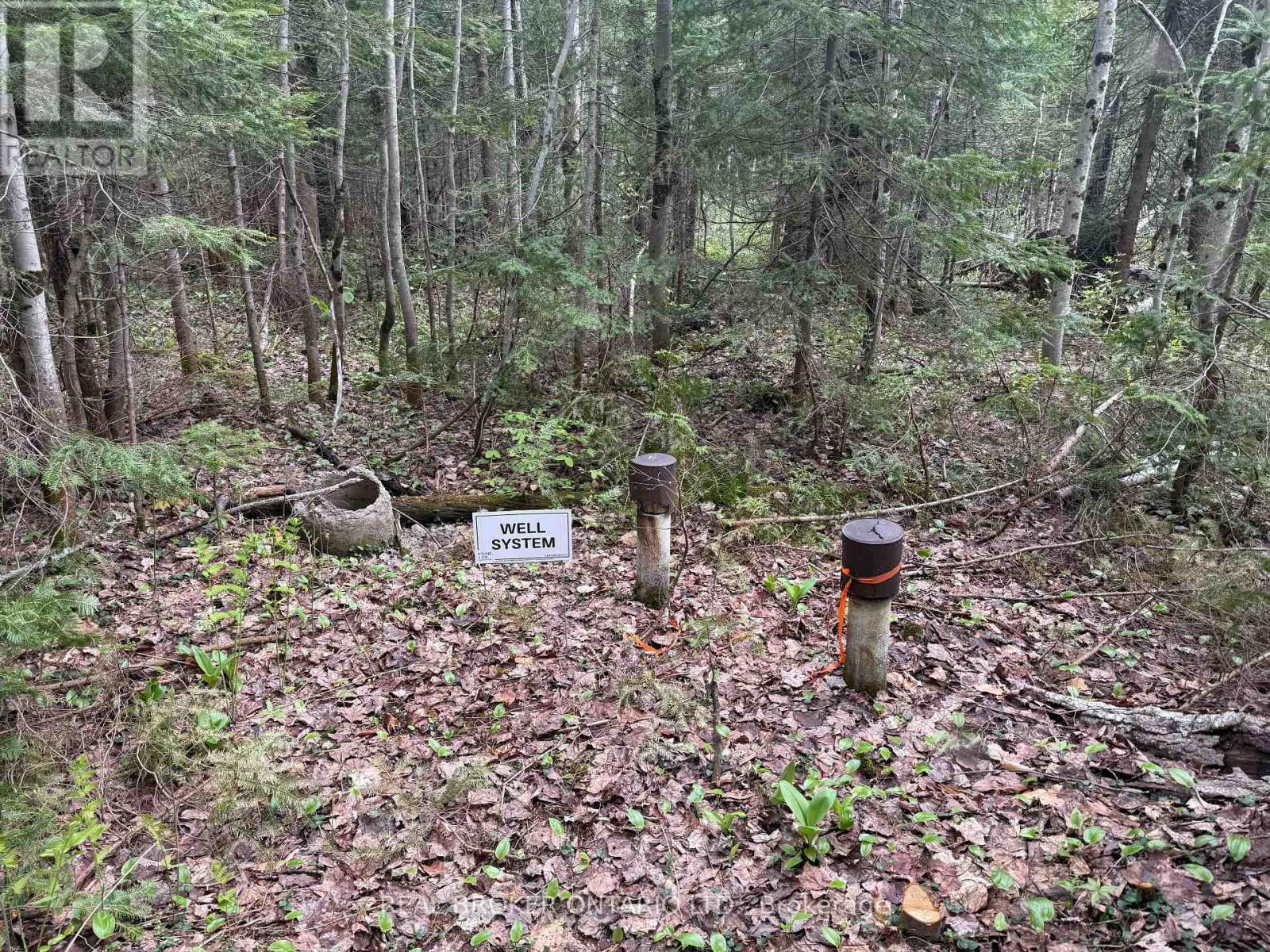 0 Bear Cave Road, Muskoka Lakes, Ontario  P0C 1J0 - Photo 3 - X12589582