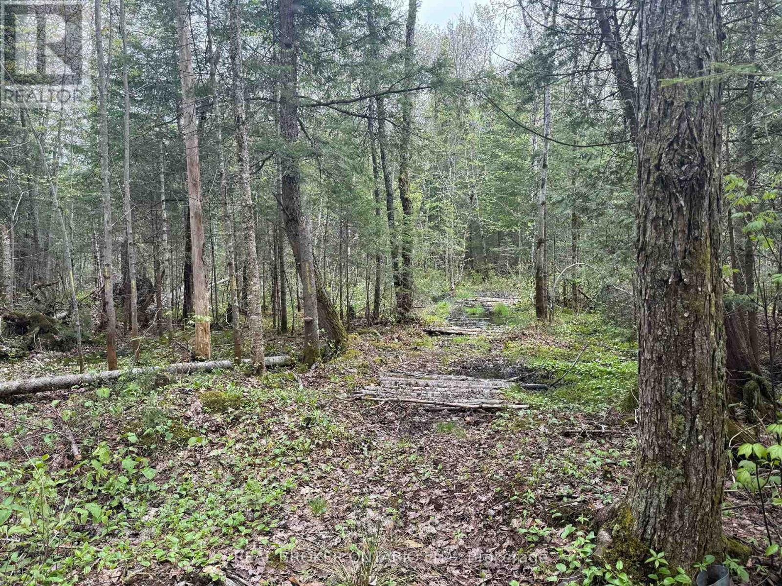 0 Bear Cave Road, Muskoka Lakes, Ontario  P0C 1J0 - Photo 8 - X12589582