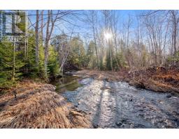 Pine Tree Road, Pine Tree, Nova Scotia