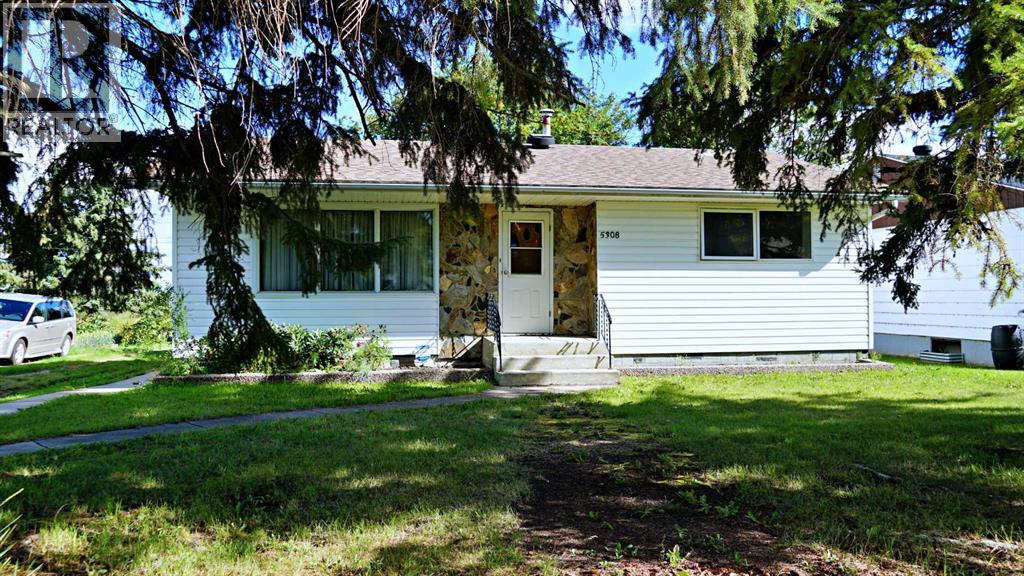 5308 52nd Avenue, Mannville, Alberta T0B 2W0 - Photo 1 - A2250236