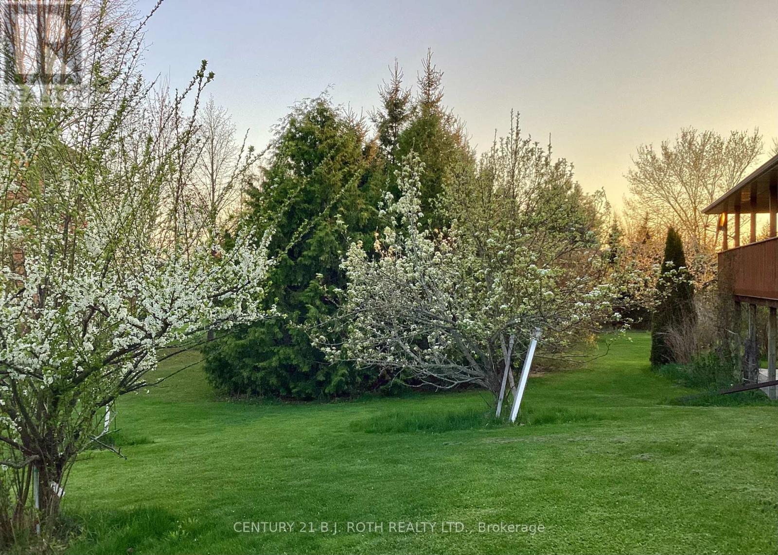 30 Tecumseth Heights Drive, New Tecumseth, Ontario  L0G 1W0 - Photo 45 - N12572046