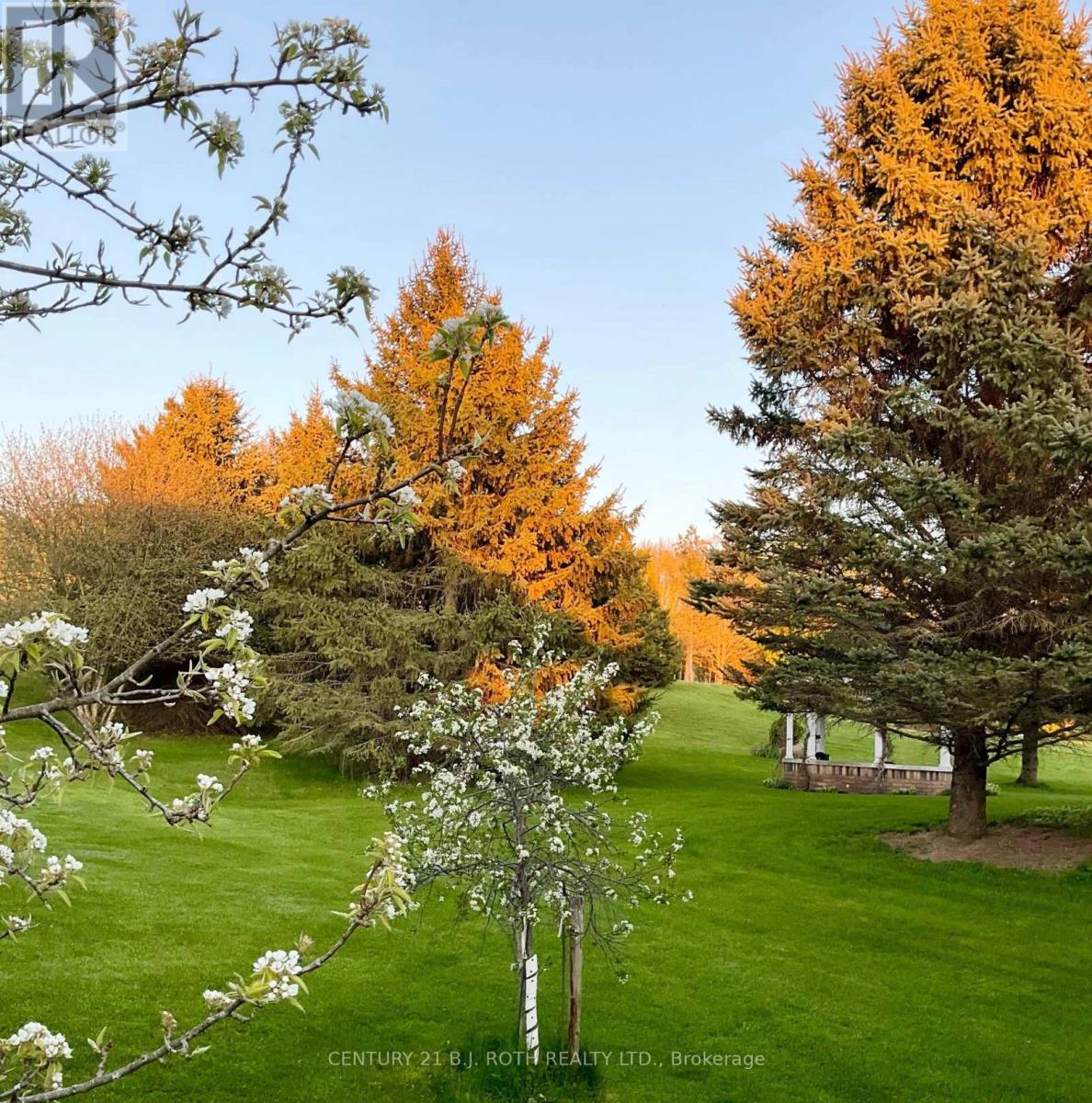 30 Tecumseth Heights Drive, New Tecumseth, Ontario  L0G 1W0 - Photo 46 - N12572046